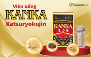 Thành Phần Kanka Nhật Bản