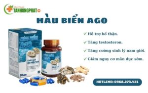 Công dụng chính của Hàu Biển Ago.