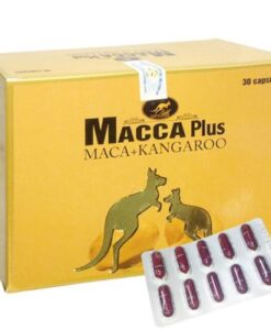 Hộp viên uống Macca Plus1