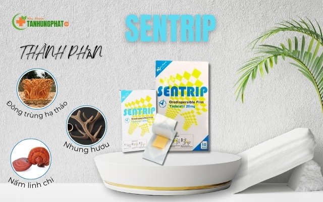 Thành phần có trong tem ngậm Sentrip