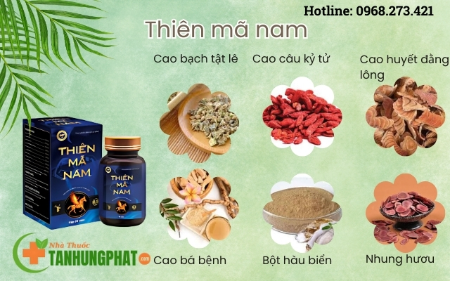 thanh-phan-cua-thien-ma-nam