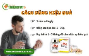 Hướng dẫn sử dụng Bang Cevrai Pháp
