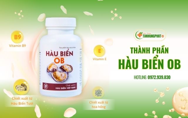 Thành Phần Hàu Biển OB