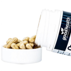 Hình ảnh Oyster Plus 2