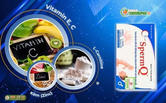 Thành Phần SpermQ