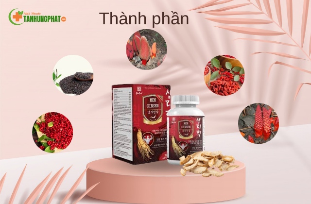 Thành phần sản phẩm Men Ginsen