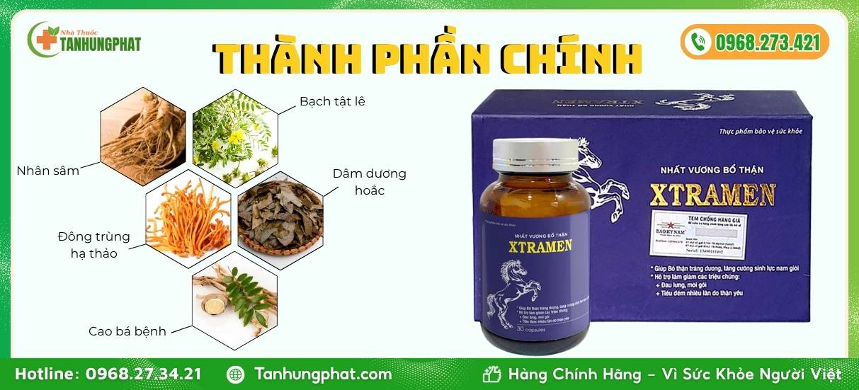 Thành phần chính có trong Xtramen