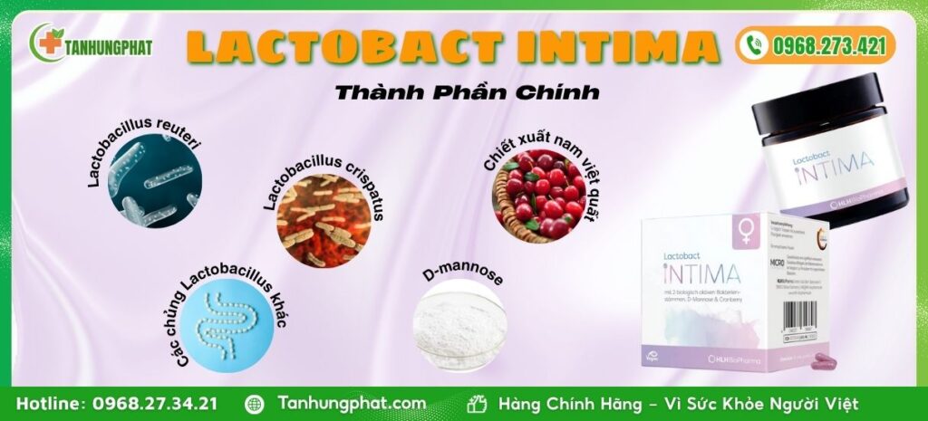 Thành Phần Lactobact Intima