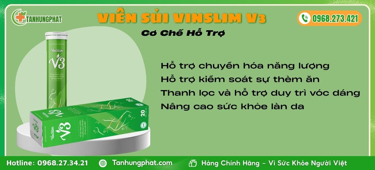 Cơ Chế Hỗ Trợ Viên Sủi Vinslim V3