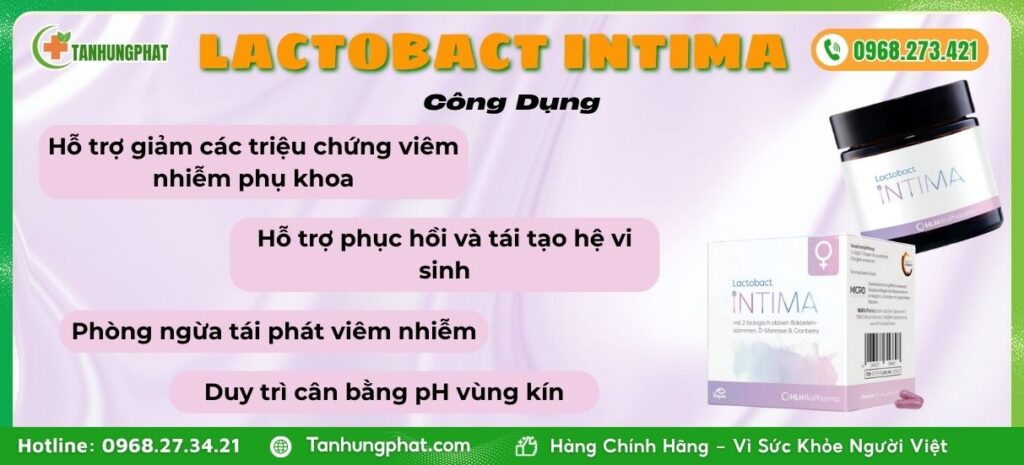 Công Dụng Lactobact Intima