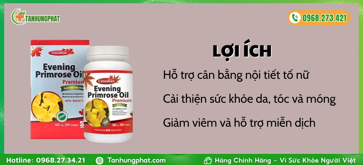 Lợi ích David Health Evening Primrose Oil