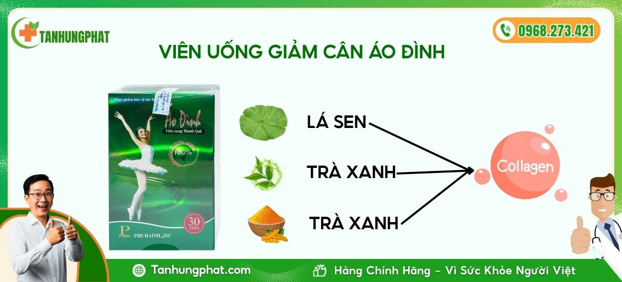 bảng thành phần sản phẩm giảm cân áo đình