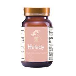 Halady