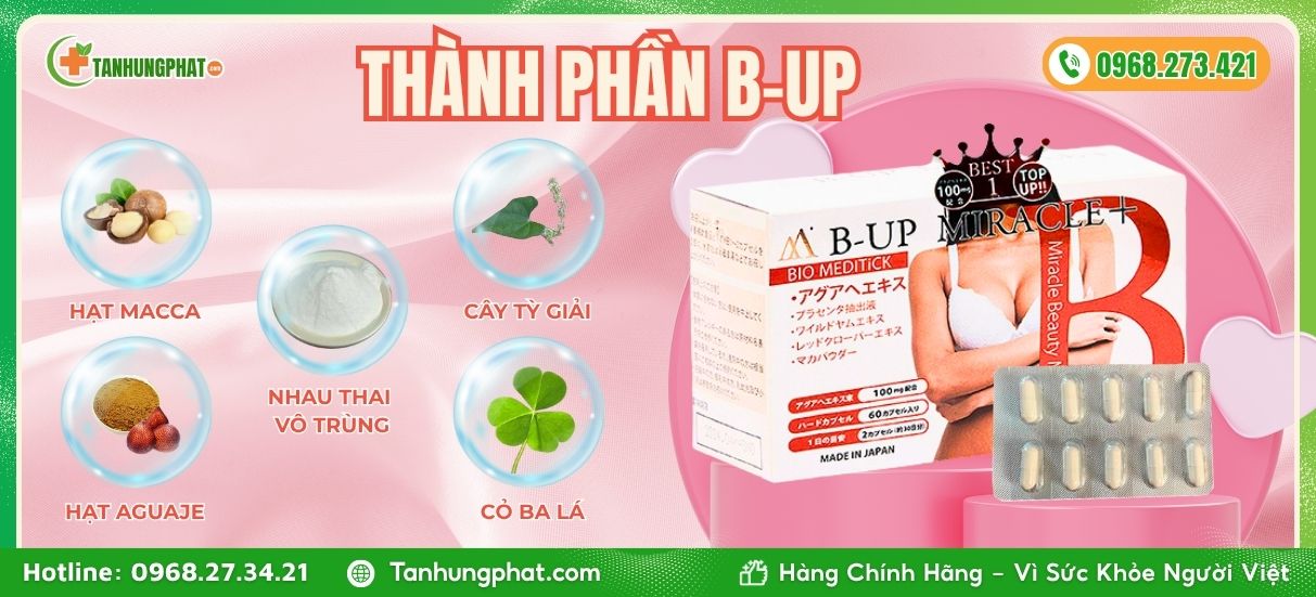Thành phần B-Up Miracle 