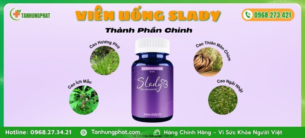 Thành Phần Chính SLady