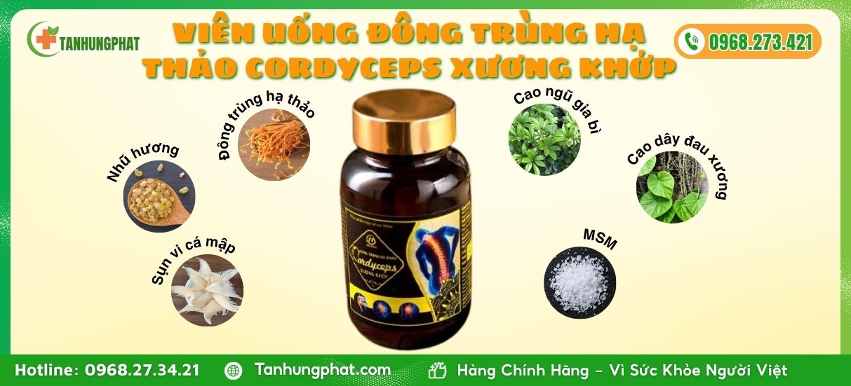 Thành Phần Viên uống Đông Trùng Hạ Thảo Cordyceps xương khớp