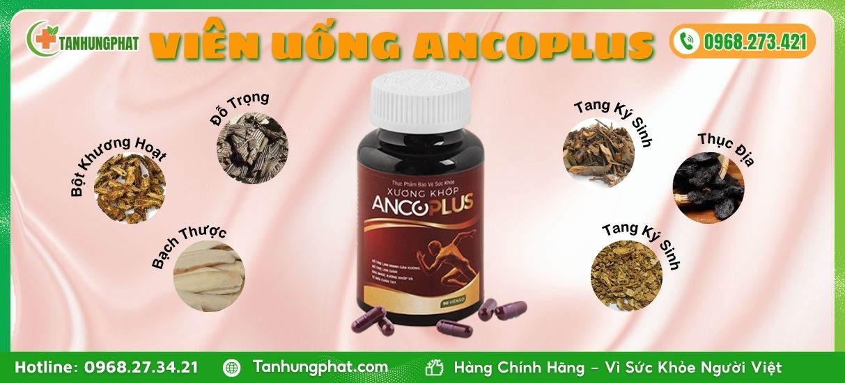 Thành Phần Viên Uống Ancoplus