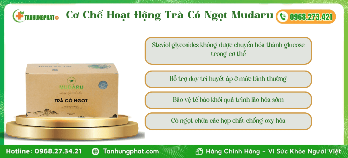 Cơ Chế Hoạt Động Trà Cỏ Ngọt Mudaru