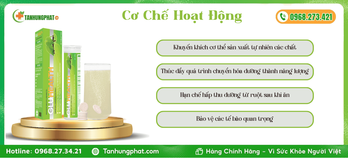 Cơ Chế Hoạt Động