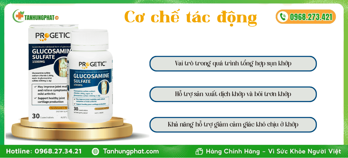 Cơ chế tác động khoa học Progetic Glucosamine Sulfate 1500Mg