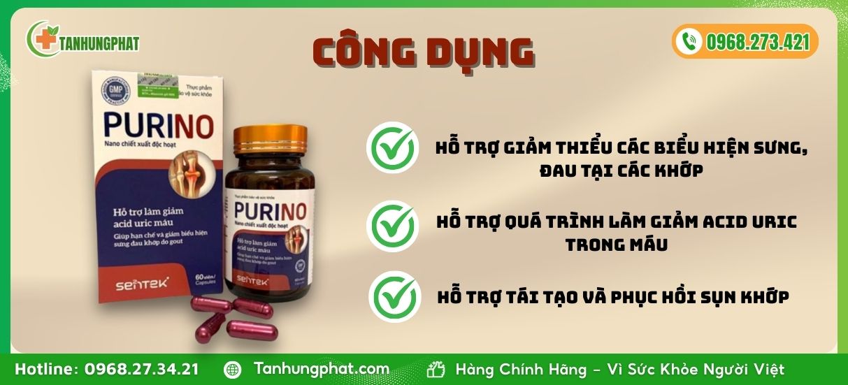 Công dụng chính của Gout Purino