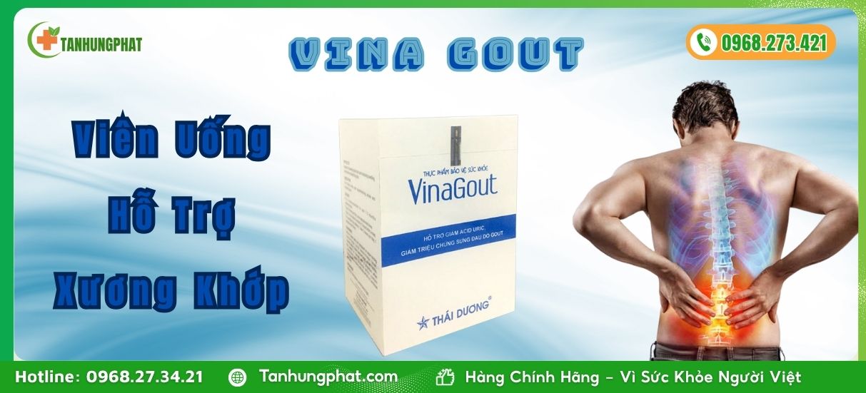 VINA GOUT Viên Uống HỗTrợ Xương Khớp