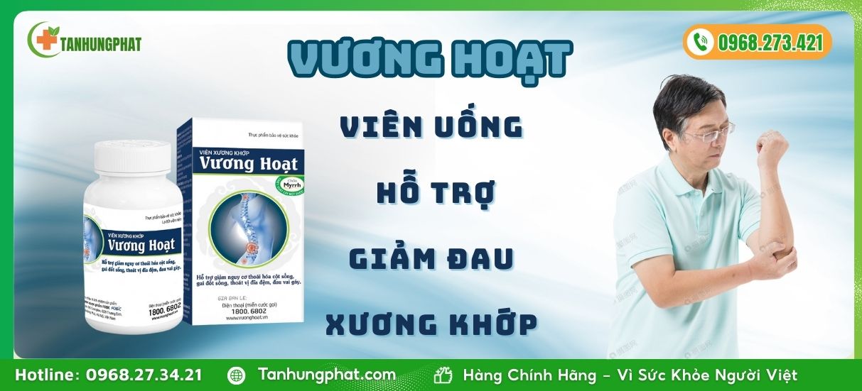 Viên Uống Vương Hoạt Hỗ Trợ Giảm Đau Xương Khớp