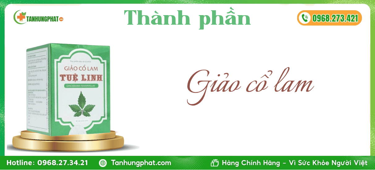 Thành phần Giảo Cổ Lam Tuệ Linh